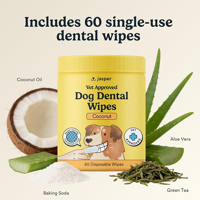 Jasper Dog Dental Wipes, Vet-Recommended Natural Cat & Dog Teeth Cleaning Wipes Dog Teeth Cleaner, Disposable Wipes Fresh Breath PlaqLift Technology Attacks Plaque and Buildup, Coconut, 60 Count