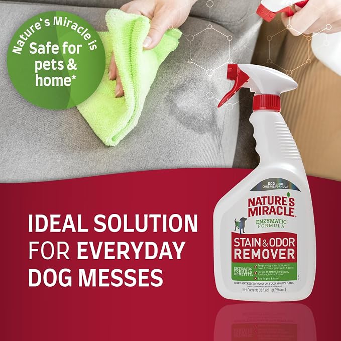 Nature’s Miracle Stain and Odor Remover Dog, 32 Ounces, Everyday Mess Enzymatic Odor Control Formula (Pack of 2)