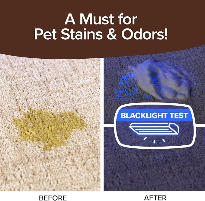 Bull Shot Carpet Spot & Stain Remover, AS SEEN ON TV, Made In USA, Just Point & Spray, Stain-Lifting Foam-Action, Pet Stains & Odors, Coffee, Soda, Wine, Stains, 2 Pack