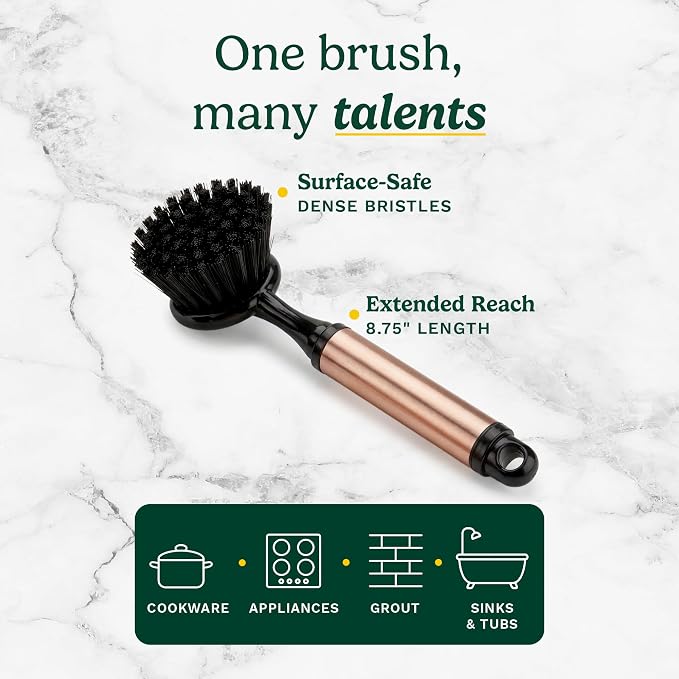 Cuisinart Dish Brush with Handle, 2 Pack, Firm Bristles | Multi-purpose dish scrubber for plates, pots, and pans, deep cleaning removes grease, safe for nonstick, round head