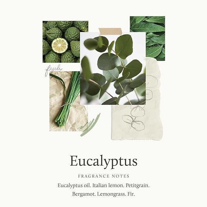 Thymes Eucalyptus Countertop Spray (16.5 fl oz)