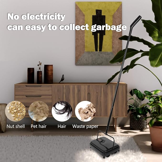 Eyliden Carpet Sweeper, Mini Size, Manual Sweeping, Black | Lightweight, Hand Push - No Noise, Non-Electric, Easy Clener, Only for Carpet and Rug Cleaning