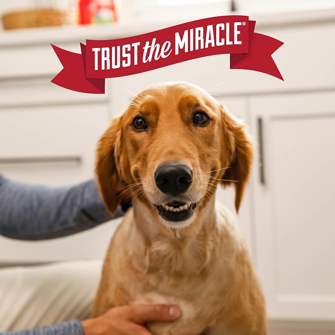 Nature's Miracle Outdoor Pet Stain & Odor Remover, 64 oz Flip & Go Sprayer | For Outdoor Dog & Cat Messes, Cleans Dog and Cat Pee, Poop, Vomit, Drool, Use On Decks, Patio Furniture, Concrete & More