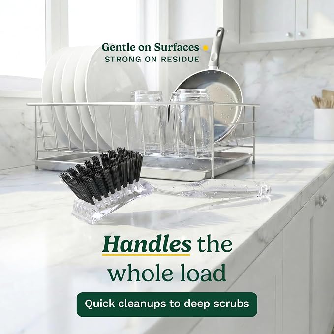 Cuisinart Dish Brush with Handle, 2 Pack, Firm Bristles | Multi-purpose dish scrubber for plates, pots, and pans, deep cleaning removes grease, safe for nonstick, built-in scraper