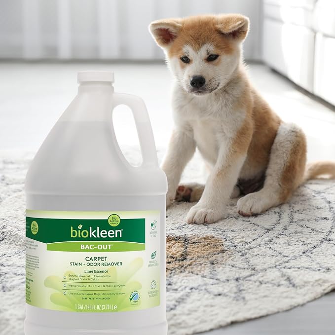 Biokleen Bac Out Enzyme Cleaner, Stain & Pet Odor Eliminator, Lime Scent | Pet Stain Remover for Carpet, Enzymatic Cleaner for Dog Urine, Cat Urine Enzyme Cleaner Destroyer, Eco-Friendly, Non-Toxic