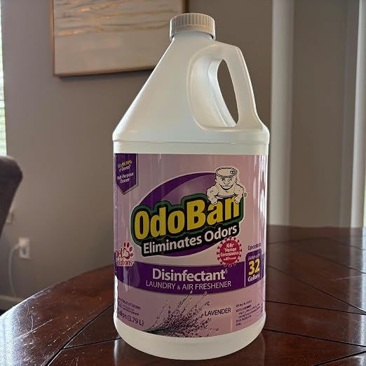 OdoBan Disinfectant Concentrate and Odor Eliminator, 2 Gallons, Lavender Scent