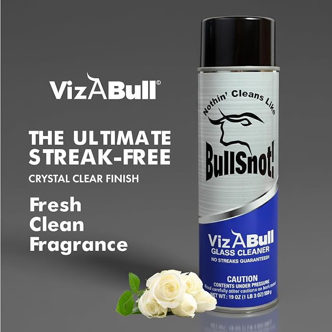 BullSnot! VizABull Glass Cleaner Foam Spray, Streak-Free for Car Windshield, Mirror, Window Cleaning - Heavy Duty for Auto Exterior - Ammonia-Free, No Drip, Quick Dry - 19 Fl Oz, 1 Can