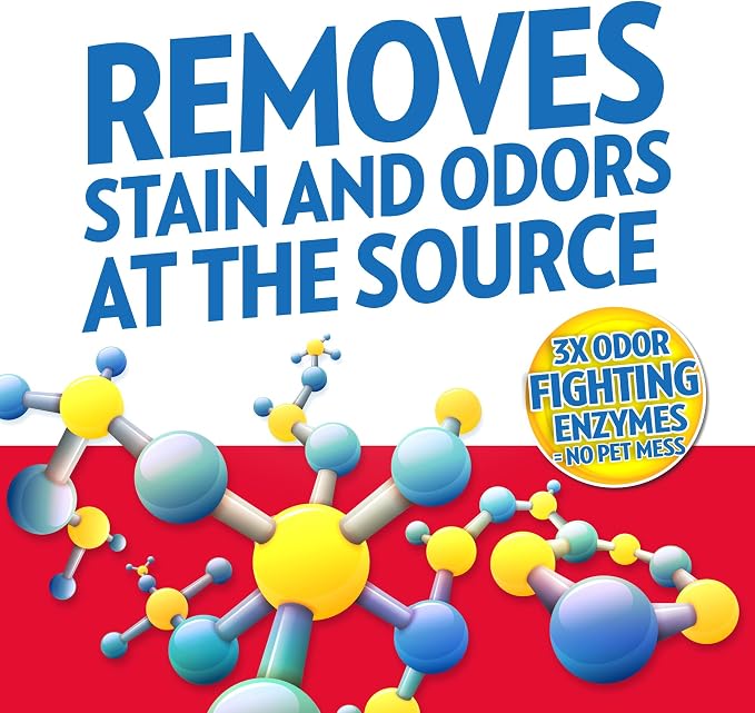 OUT! PetCare Pet Stain & Odor Remover, Carpet Cleaner, 32oz (2 Pack) | Dog Stain & Odor Remover, Pet Odor Eliminator, Floor Cleaner, Dogs & Cats, Carpet Cleaner, Cat Stain Remover, Made in USA