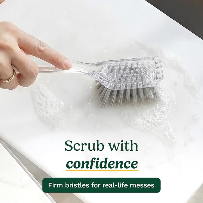 Cuisinart Dish Brush with Handle, 2 Pack, Firm Bristles | Multi-purpose dish scrubber for plates, pots, and pans, deep cleaning removes grease, safe for nonstick, built-in scraper