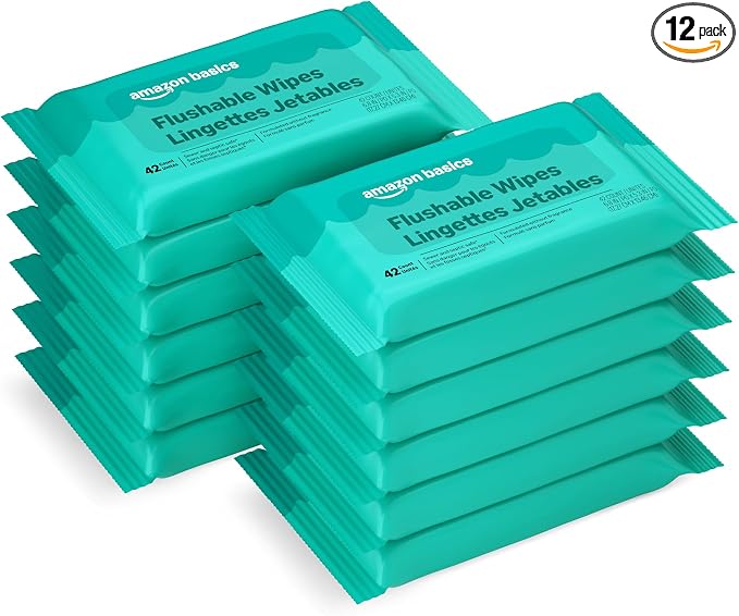 Amazon Basics Flushable Adult Toilet Wipes, Fragrance Free, 504 Count (12 Packs of 42), Packaging May Vary