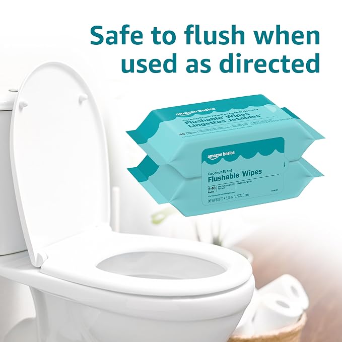 Amazon Basics Flushable Wipes, Coconut Scent, Hypoallergenic, Dermatologically Tested, 2 Packs of 48 (96 Count)