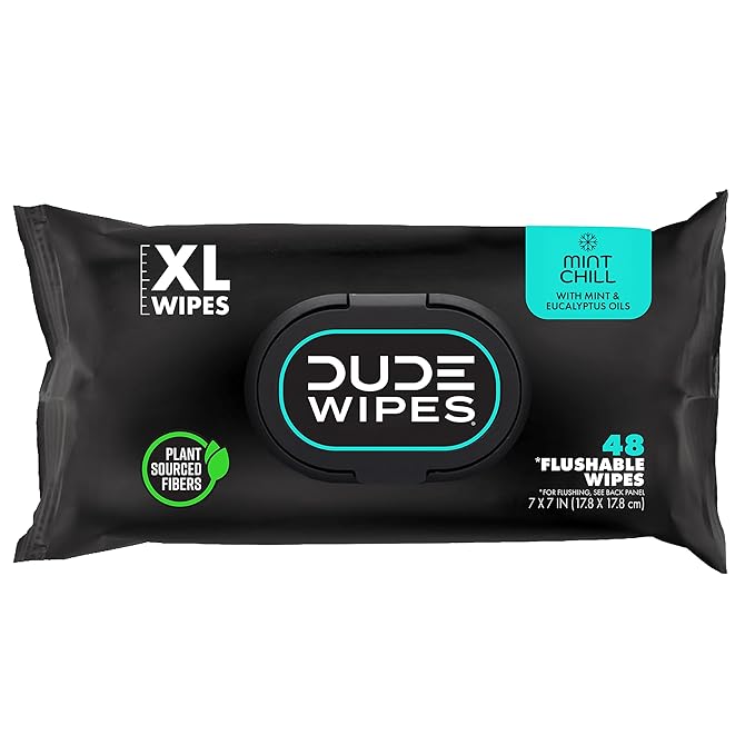 DUDE Wipes Mint Chill Flushable Wipes - Extra-Large Adult Wet Wipes - 1 Pack (48 Count), Travel Pack - Infused with Tea Tree Oil, Vitamin E, and Aloe - Septic and Sewer Safe
