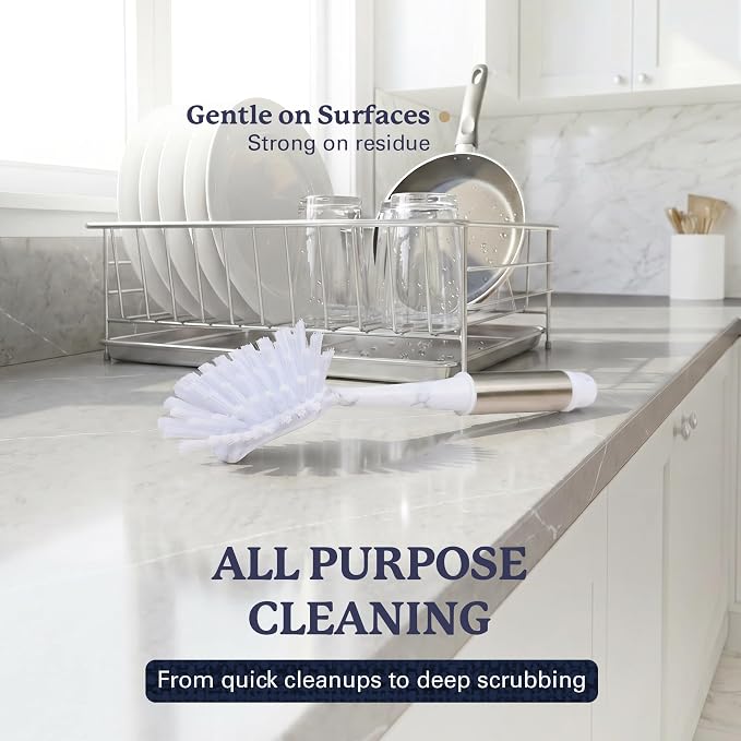 Farberware Dish Brush with Handle, 2 Pack, Firm Bristles | Kitchen scrub brush and dish scrubber removes grease, reaches pot and pan edges, 10in, rectangle head, scraper tip