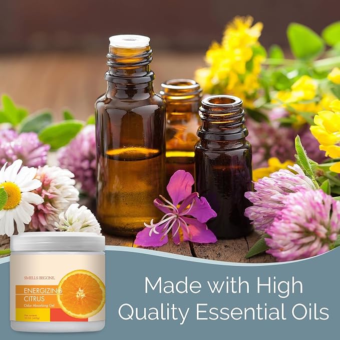 SMELLS BEGONE 15oz Gel Odor Eliminator - Absorb & Remove Tough Odors in Pet Areas, Bathrooms, Basements, Garage, Cars, RVs & Boats - Eliminate Odors Quickly (15 Ounce (Pack of 2), Energizing Citrus)