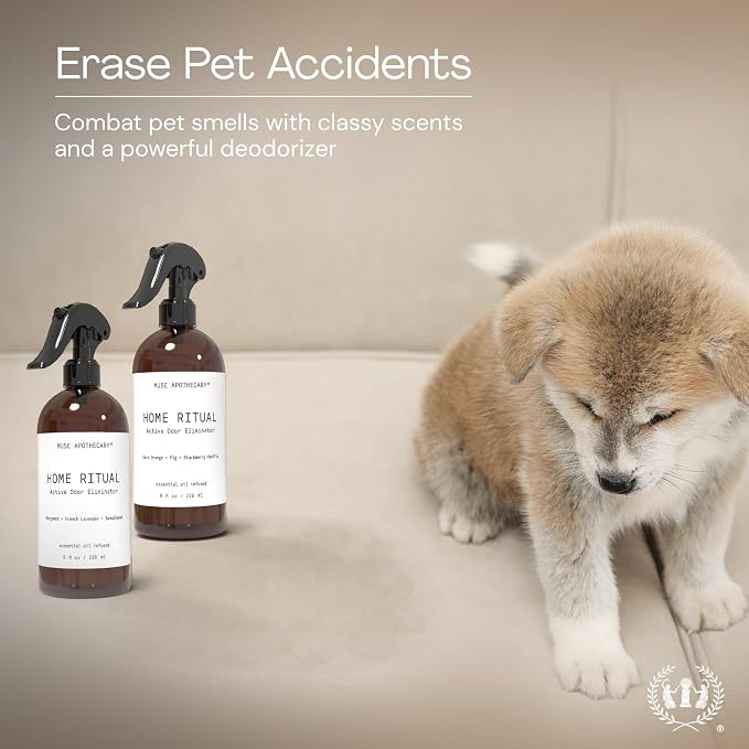 Muse Apothecary Home Ritual Active Odor Eliminator Spray - Furniture Deodorizer Spray & Bathroom Odor Eliminator for Home - Essential Oil Air Freshener - 8oz, Bergamot + French Lavender + Sandalwood