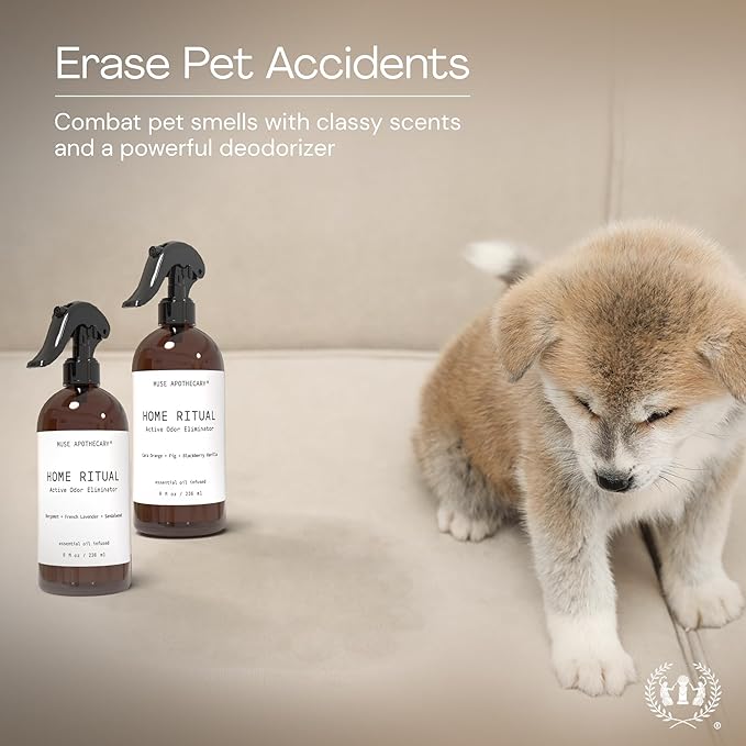 Muse Apothecary Home Ritual Active Odor Eliminator Spray - Furniture Deodorizer Spray & Bathroom Odor Eliminator for Home - Essential Oil Air Freshener - 4oz, Bergamot + French Lavender + Sandalwood