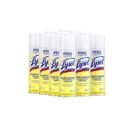 Lysol Professional Foam Cleaner for Multiple Surfaces, 24 Ounce