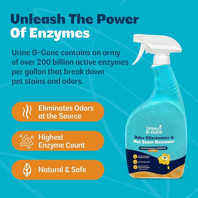 Urine B-Gone, Professional Enzyme Odor Eliminator & Pet Stain Remover, Human, Cat & Dog Urine Cleaner, Effective on Laundry, Carpets & More, Citrus Scent, 32oz
