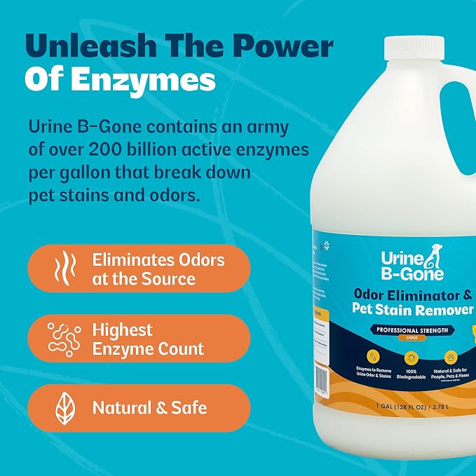 Urine B-Gone, Professional Enzyme Odor Eliminator & Pet Stain Remover, Human, Cat & Dog Urine Cleaner, Effective on Laundry, Carpets & More, Citrus Scent, 1 Gallon