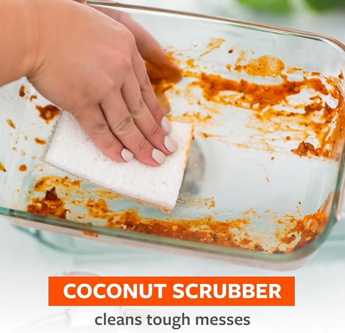 Full Circle Coconut Scrubber Sponges, Pack of 2 – Dual-Sided, Plant-Based Sponges Made with Coconut Shells, Cellulose & Recycled Materials, Safe for Nonstick Cookware
