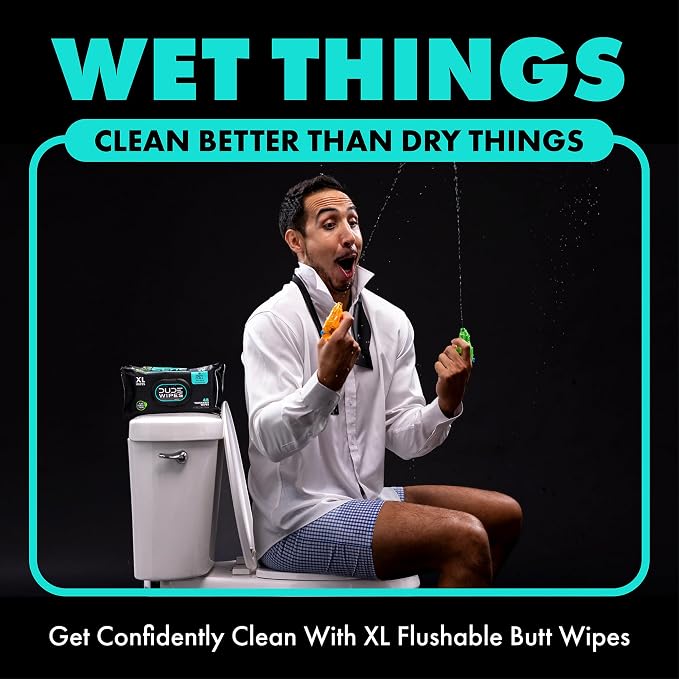 DUDE Wipes, 48 Wipes, 2 Pack | Flushable | Mint Chill | Extra-Large | Eucalyptus & Tea Tree Oil