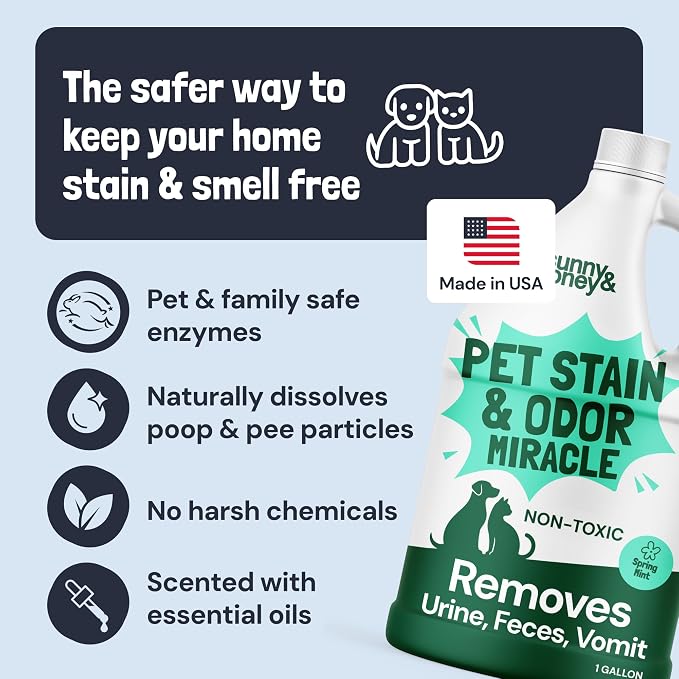 Sunny & Honey Pet Stain and Odor Remover for Carpets. 1 Gallon Mint | USA Made - Enzyme Cleaner for Dog Urine & Poop - Eliminates Set In Stains - Color Safe - For Rugs, Furniture & Car Seats