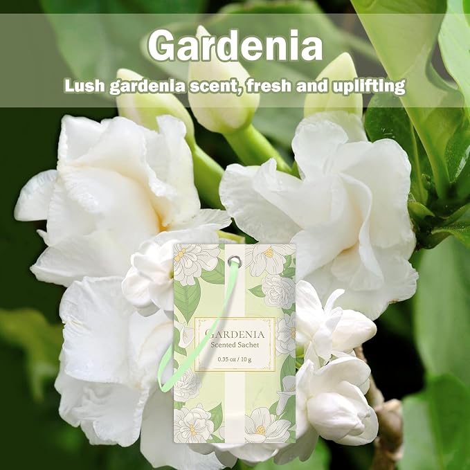 SCENTORINI Scented Sachets for Drawer and Closet, Gardenia Scent 14 Pack | Long-Lasting Sachets Bags Gift Set, Closet Freshener Sachets for Wardrobe Freshener, Cupboard, Suitcases, Handbags