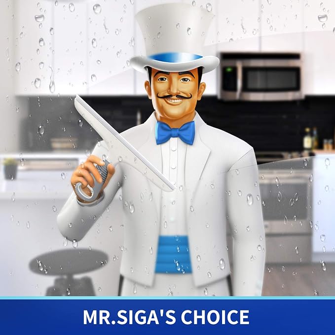 MR.SIGA Silicone Squeegee for Shower Doors, 25 cm/10 inch, White & Gray | Shower squeegee for glass doors, streak free squeegee for windows, showers and glass surfaces, includes suction hook
