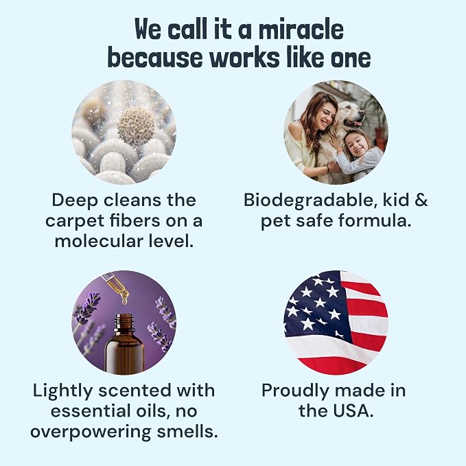 Sunny & Honey Carpet Cleaner Shampoo Solution for Machines, 1 Gal Lavender | USA Made - Stain and Odor Eliminator - Cleans Carpets and Upholstery - For Upright and Spot Cleaners - Concentrated Formula