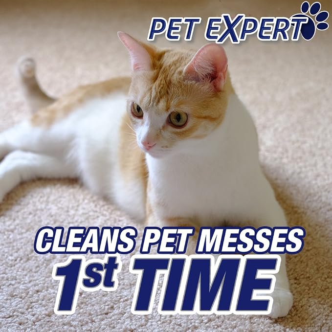 Resolve Pet Expert Stain and Odor Remover, Carpet Cleaner, Pet Stain and Odor Remover, Carpet & Upholstery Cleaner - Removes Stains and Odors, 22 oz (pack of 6)