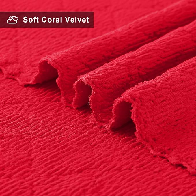 Homaxy 24 Pack Dish Towels for Kitchen (10 x 20 Inches, Red), Super Soft and Absorbent Coral Velvet Dish Cloths for Washing Dishes, Nonstick Oil Fast Drying Microfiber Cleaning Cloth