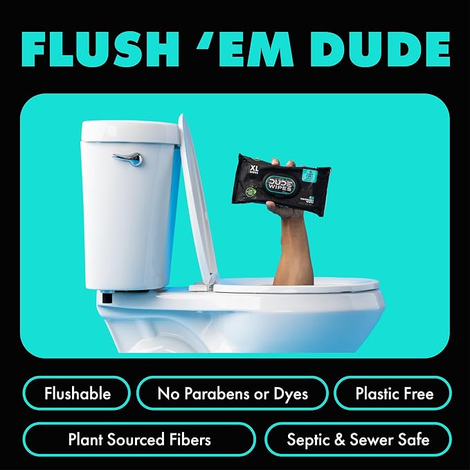DUDE Wipes, 48 Wipes, 2 Pack | Flushable | Mint Chill | Extra-Large | Eucalyptus & Tea Tree Oil