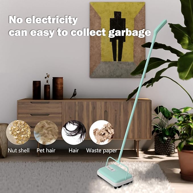 Eyliden Carpet Sweeper, Mini Size, Manual Sweeping, Mint | Lightweight, Hand Push - No Noise, Non-Electric, Easy Clener, Only for Carpet and Rug Cleaning