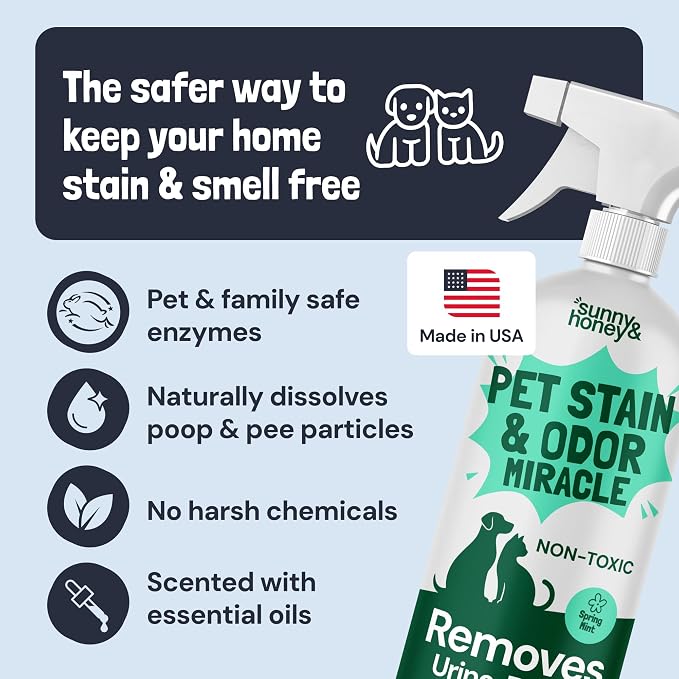Sunny & Honey Pet Stain and Odor Remover Spray for Carpets, 32floz Mint | USA Made - Enzyme Cleaner for Dog Urine & Poop - Eliminates Set In Stains - Color Safe - For Rugs, Furniture & Car Seats