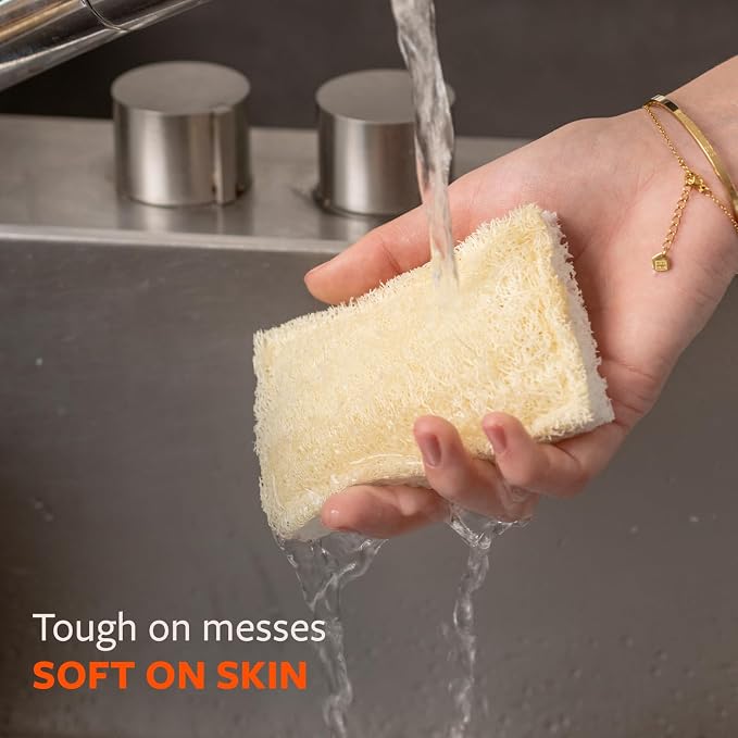 Full Circle 100% Plant-Based Loofah Sponges – Pack of 2 – Plastic-Free, Natural Sponge, No Microplastics, Safe for Nonstick Cookware
