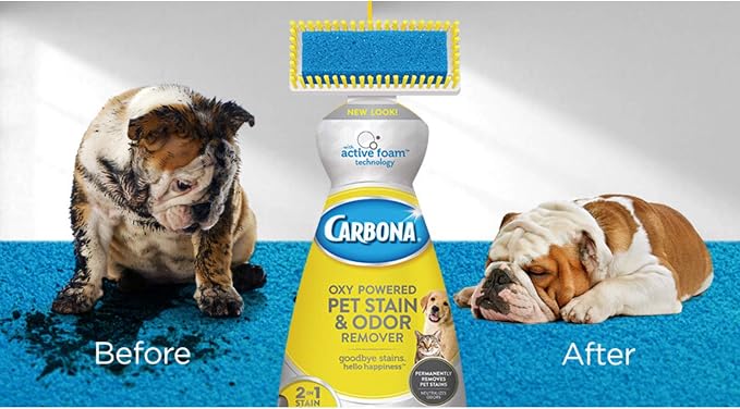 Carbona 2 in 1 Oxy-powered Pet Stain