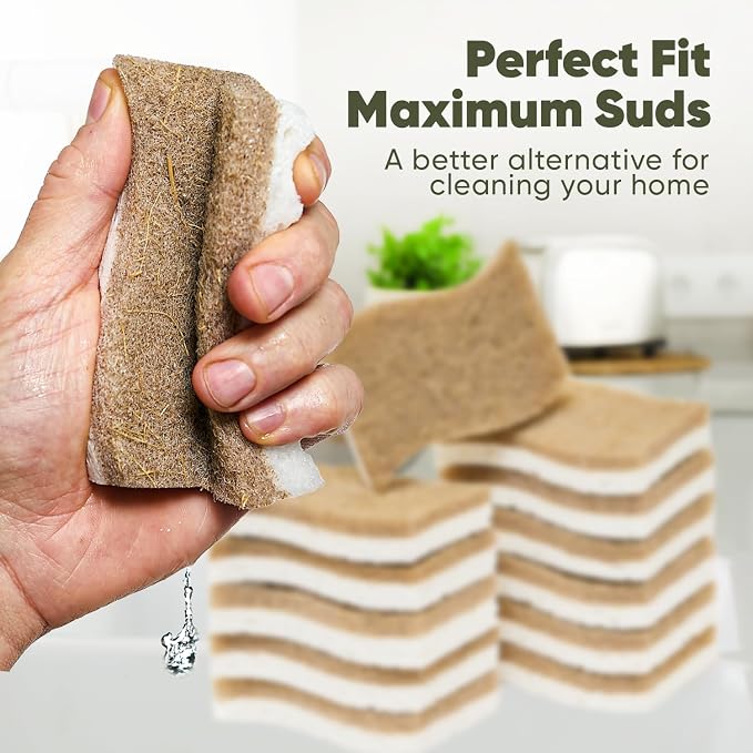 Plant-Based Kitchen Sponges (12 Pack) | USDA Biobased Certified | FSC & PETA Approved | Natural Cellulose & Coconut Scrubber Sponge | S-Shaped Design | Eco-Friendly, Non-Scratch, Non-Toxic & Vegan