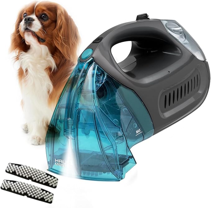 Hausmeister Hydroflex Carpet Cleaner Machine, Upholstery Cleaner Machine for Couch, Car Seats & Pet Stains, 500W Powerful Handheld Deep Cleaner with 3 Brush Heads (Machine + 0 solution)