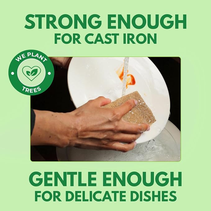 AIRNEX Biodegradable Natural Kitchen Sponges Pack of 6 - Cellulose and Coconut Walnut Scrubber Sponge - Eco Friendly Sponges for Dishes