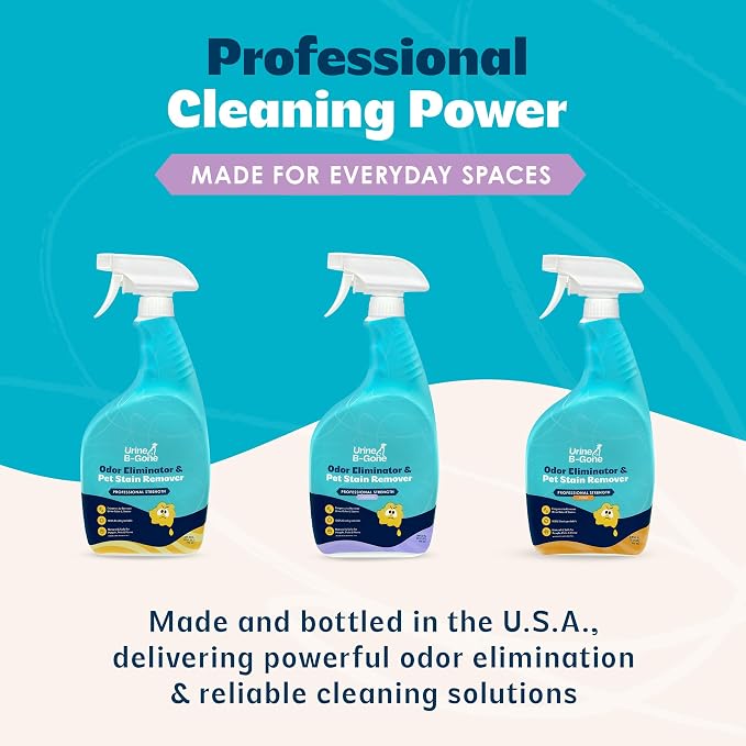 Urine B-Gone, Professional Enzyme Odor Eliminator & Pet Stain Remover, Human, Cat & Dog Urine Cleaner, Effective on Laundry, Carpets & More, Lavender Scent, 32oz, Pack of Two