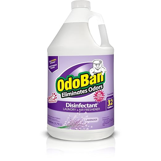 OdoBan Disinfectant Concentrate and Odor Eliminator, Made in the USA, Lavender Scent, 1 Gallon