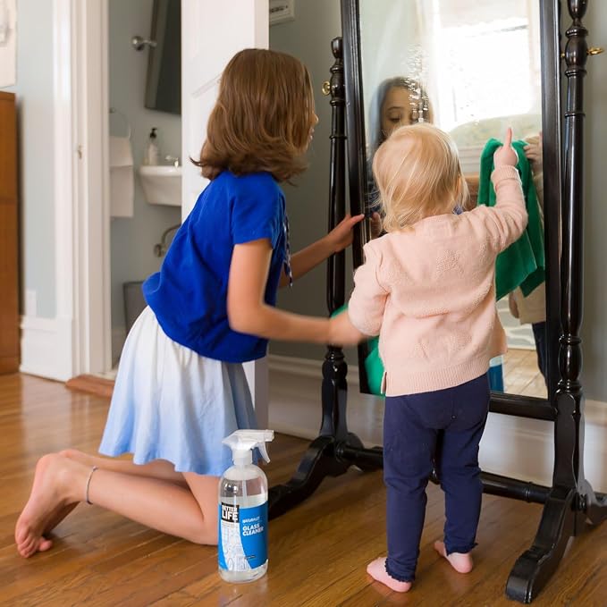Better Life Glass Cleaner, Streak-free Window Cleaner, Surface Cleaning Spray, Mirror, Screen and Shower Door Cleaner, Removes Fingerprints, Dust, Dirt, Unscented, 32 Oz, Pack of 2