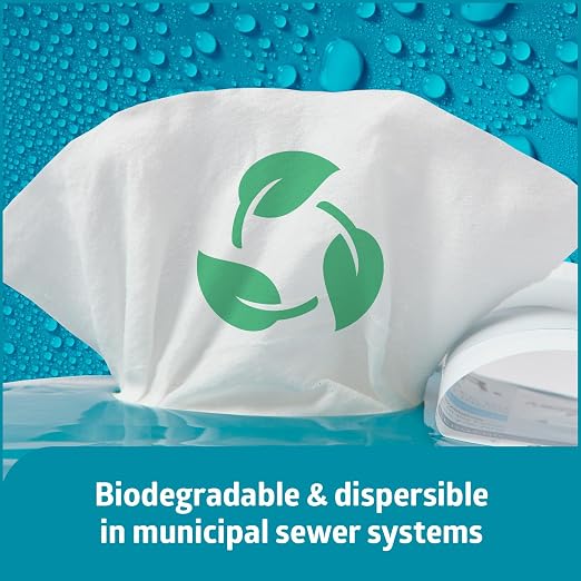 Medline ReadyFlush Flushable Wipes (60 Wipes per Tub), Scented, Biodegradable Flushable Incontinence Wet Wipes for Adults with Aloe, Hypoallergenic & pH-Balanced Personal Cleansing Cloths, 8" x 12"