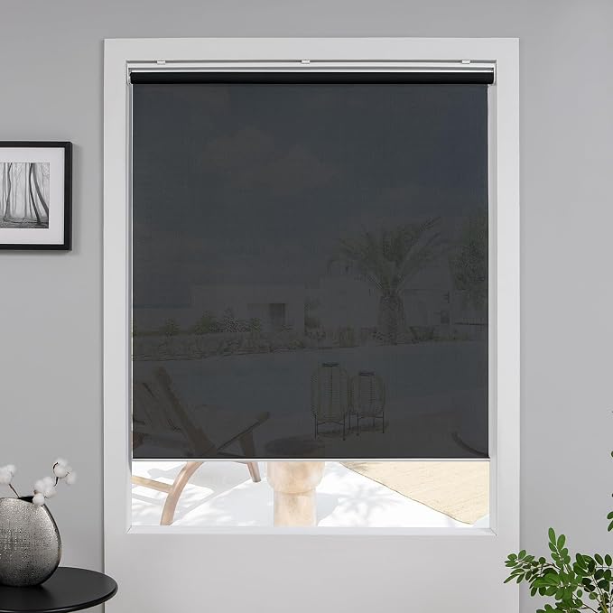 Cordless Roller Shades for Windows,Light Filtering Pull Down Blinds,Solar Screen Door Blinds,Flame Retardant UV Protection Fabric for Home Office (44" W x 72" H,Solar Black)