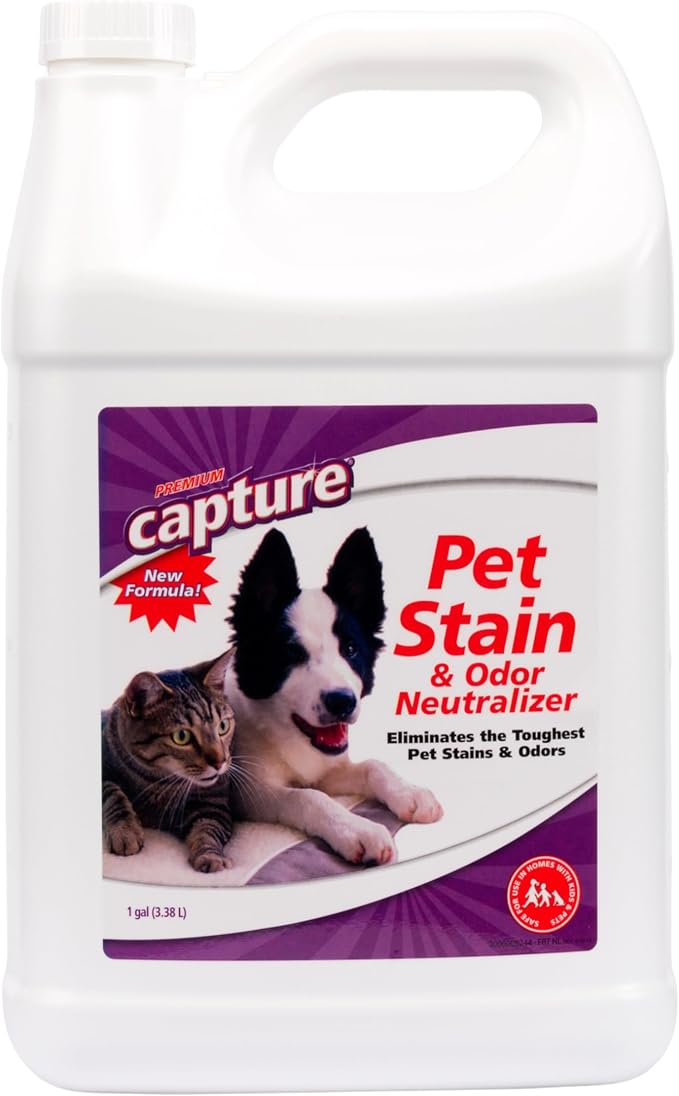 Capture Pet Stain & Odor Remover - Enzyme Pet Odor Eliminator for Home, Carpet Stain Remover for Cats & Dog Pee, Cat Urine Destroyer, Carpet Cleaner Spray - 1 Gallon