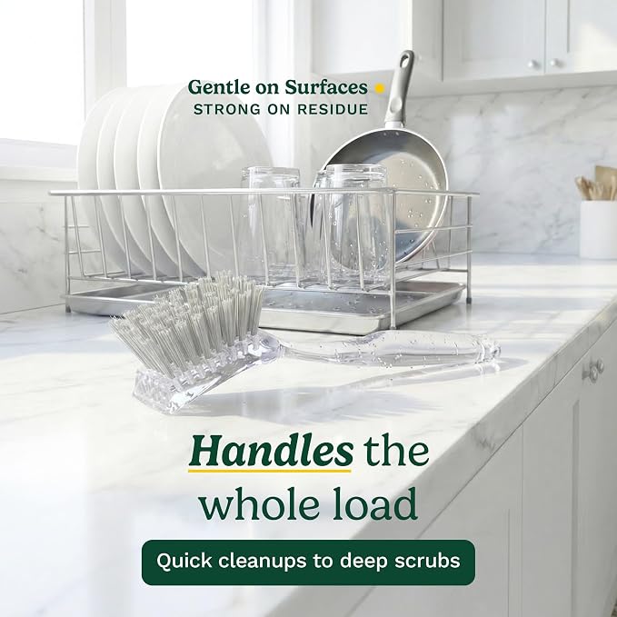 Cuisinart Dish Brush with Handle, 2 Pack, Firm Bristles | Multi-purpose dish scrubber for plates, pots, and pans, deep cleaning removes grease, safe for nonstick, built-in scraper