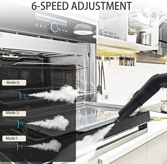 Steam Cleaner, 2500W Handheld Steam Cleaner for Home, 15s Fast Heat-Up, 6-Level Adjustable Portable Steam Cleaner for Upholstery, Grout, Floor, car (White)