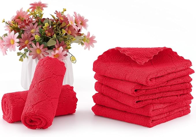 Homaxy 12 Pack Kitchen Dish Cloths (10 x 10 Inches, Red), Super Soft and Absorbent Coral Velvet Dish Towels, Nonstick Oil Fast Drying Microfiber Cleaning Cloth, No Lint Household Dishcloths