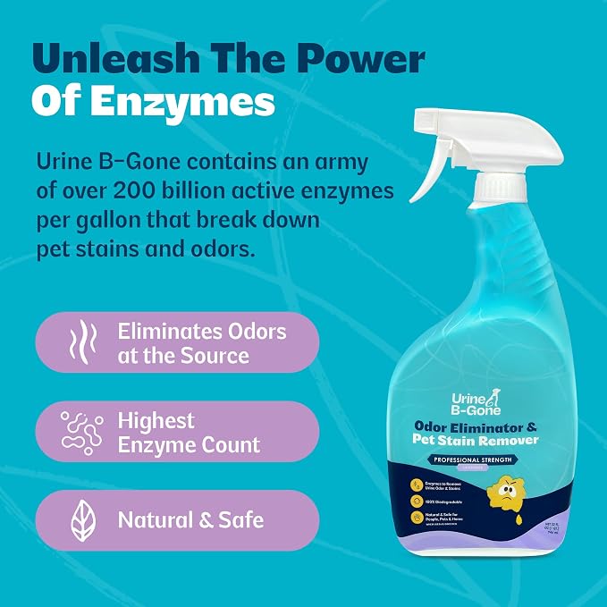 Urine B-Gone, Professional Enzyme Odor Eliminator & Pet Stain Remover, Human, Cat & Dog Urine Cleaner, Effective on Laundry, Carpets & More, Lavender Scent, 32oz
