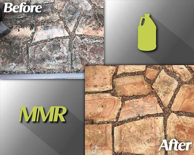 Bad Axe MMR Instant Mold Stain and Mildew Stain Remover - Professional Strength, Contractor Grade Cleaning Solution, Professional Quality Formula, Odor Removal, 1 Gallon (2)
